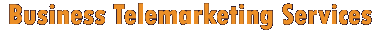 businesstelemarketingservices.com
